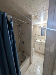 Spacious basement with 2 parking Scarborough - Photo 9
