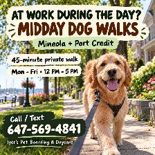 Midday Dog Walker Mineola & Port Credit | 45-Min Private Walks