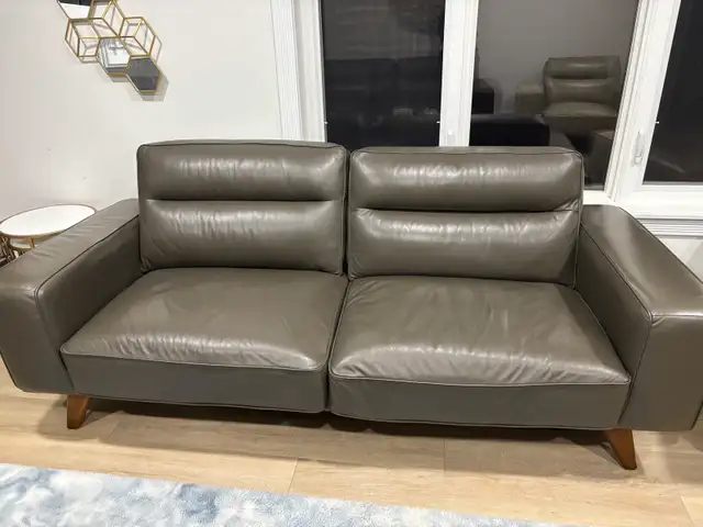Sofa Set- 2 Sofas and 2 Chairs-Great Condition~