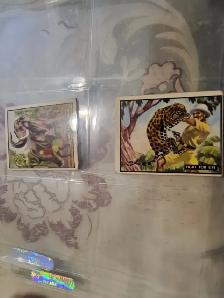 Vintage Boxing Cards  Non Sports Cards - Photo 4
