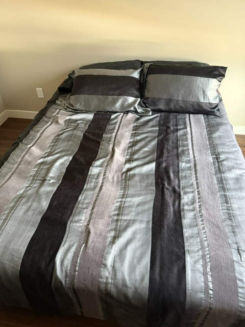 Sealy Queen Size Bed For Sale