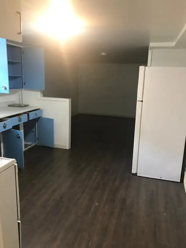1 Bedroom 1200 sq feet Basement Apartment Rent Richmond Hill