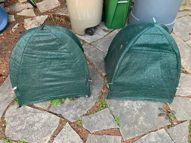 Winter plant / shrub covers