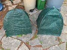Winter plant / shrub covers