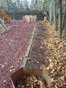 affordable moving/gardening/labour. 647-571-9326 - Photo 8