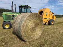 Grass Hay - Photo 2
