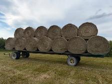 Grass Hay - Photo 3