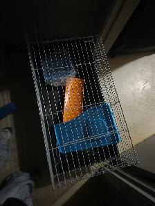 rabbit cage - Photo 3