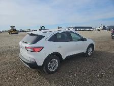 2020 Ford Escape - Photo 4
