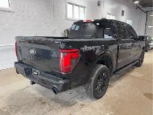 2024 Ford F-150 - Photo 4
