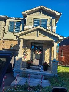 Christmas lights and GUTTER CLEANING Service - Photo 4