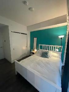 Master Bedroom Ensuite for Rent | Single Occupancy | Downtown To - Photo 5