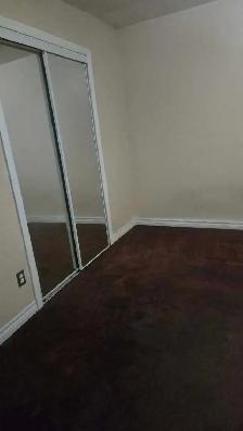 legal basement 2 bedrooms available from 1st November