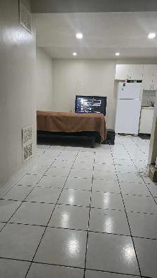 legal basement 2 bedrooms available from 1st November - Photo 2