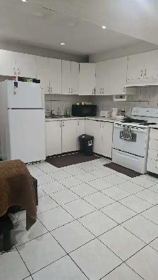 legal basement 2 bedrooms available from 1st November - Photo 3