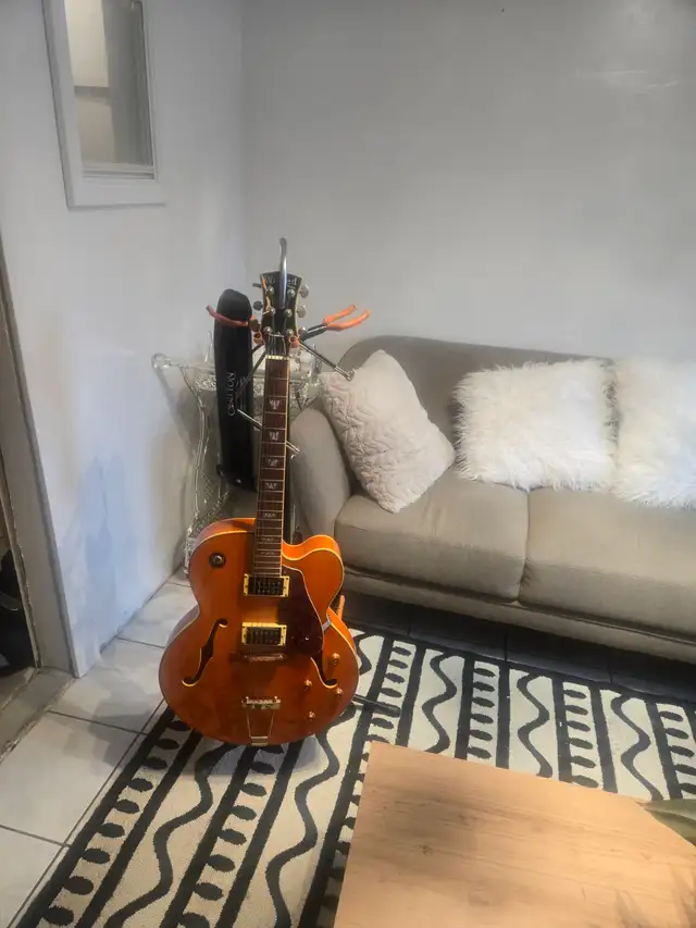 Belle guitare Hollow body Wicked 450$