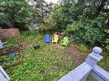 1 bedroom basement apartment - Photo 8