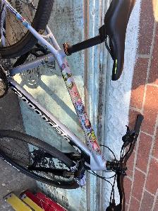 Cannondale - Photo 6