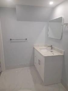 Renovated 2-Bedroom walkout basement (McCowan Rd & McNicoll Ave) - Photo 8