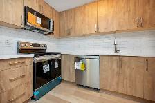 1BR GROUND FLOOR APARTMENT - Availble from 1st November