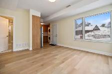 1BR GROUND FLOOR APARTMENT - Availble from 1st November - Photo 2