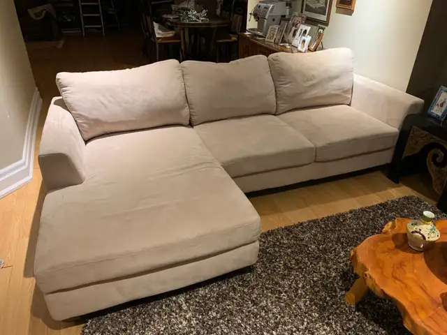 Sectional couch