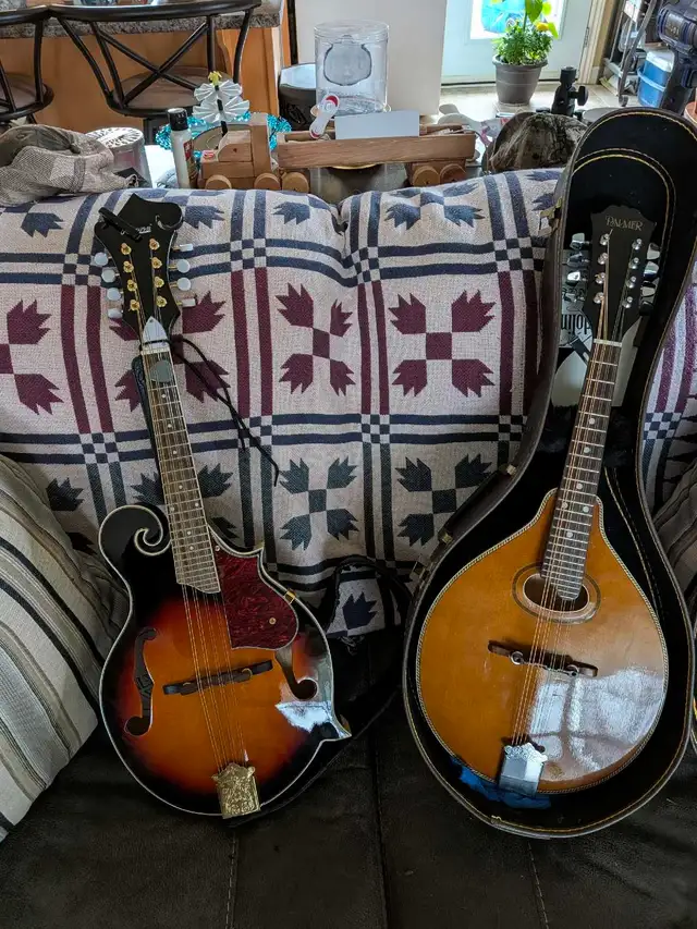 2 mandolins forsale