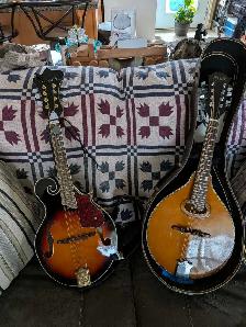 2 mandolins forsale