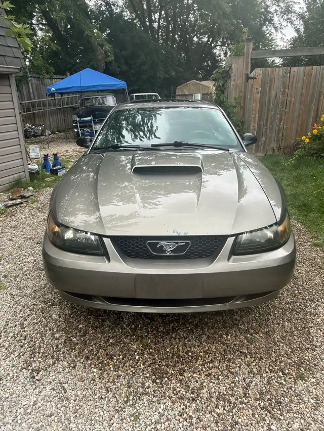 Mustang GT