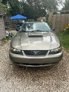 Mustang GT