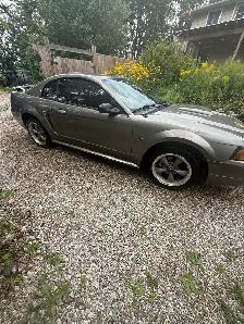 Mustang GT - Photo 2