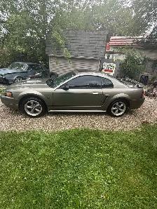 Mustang GT - Photo 3