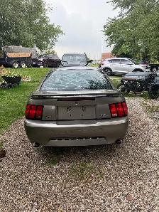 Mustang GT - Photo 4