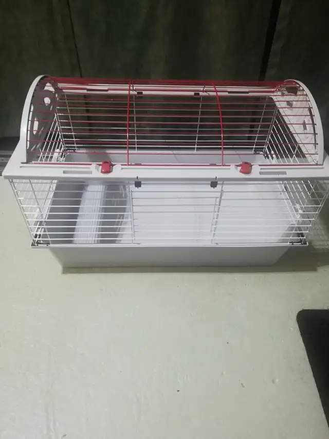 cage cochon dinde