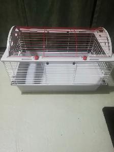 cage cochon dinde