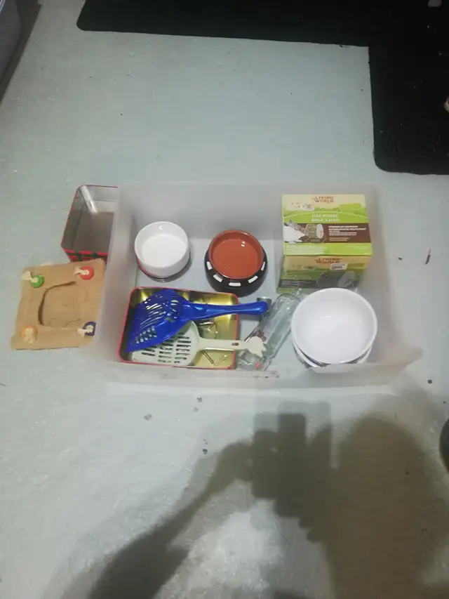 accessoire pour animaux de compagnie