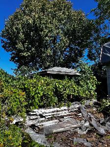 Lumber ,Yard and junk removal- 2899685272