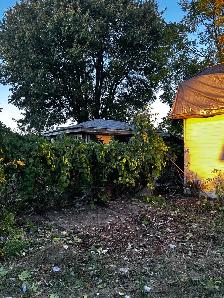 Lumber ,Yard and junk removal- 2899685272 - Photo 2