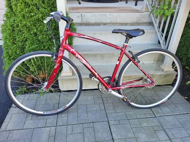 Specialized Vita Hybrid Bike