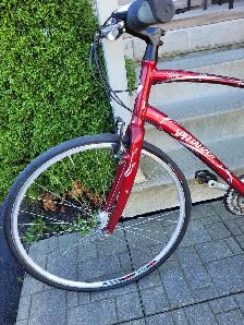 Specialized Vita Hybrid Bike - Photo 3