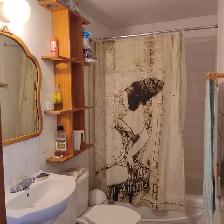 Mile End Plateau sublet - Photo 10