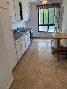 5.5 et 4.5 $1375.00 - $1250.00 Metro Honore Beaugrand - Photo 2