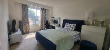4 Bedrooms House for rent in Brampton from November 1st - Photo 6