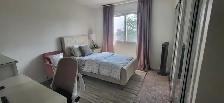 4 Bedrooms House for rent in Brampton from November 1st - Photo 7