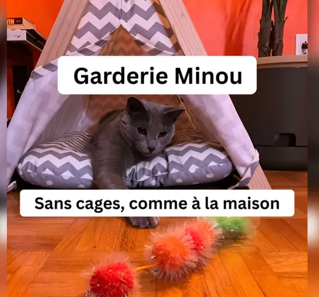 Cat garderie