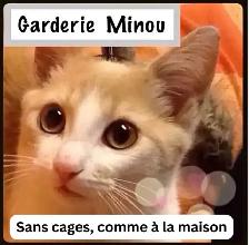 Cat garderie - Photo 2