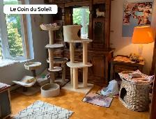 Cat garderie - Photo 5