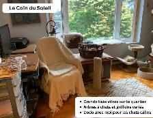 Cat garderie - Photo 7