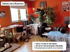 Cat garderie - Photo 9