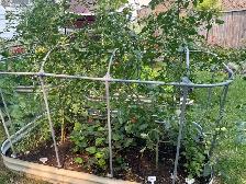 Metal Garden Beds with tops - Photo 3